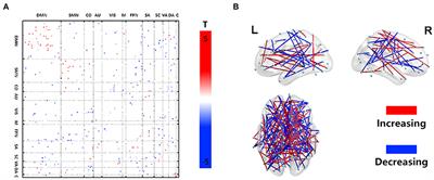 Dysfunctional Dynamics of Intra- and Inter-network Connectivity in Dementia With Lewy Bodies